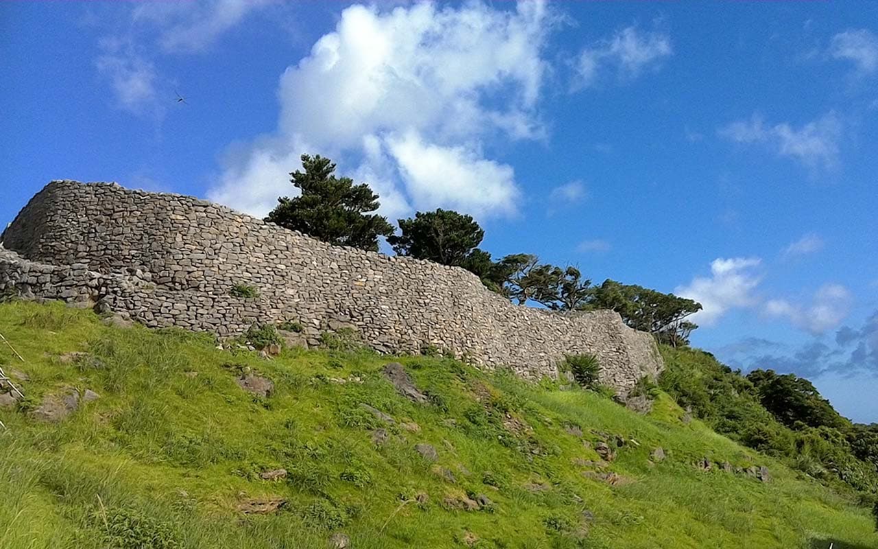 Okinawa Churaumi TokuToku Pass - image 16